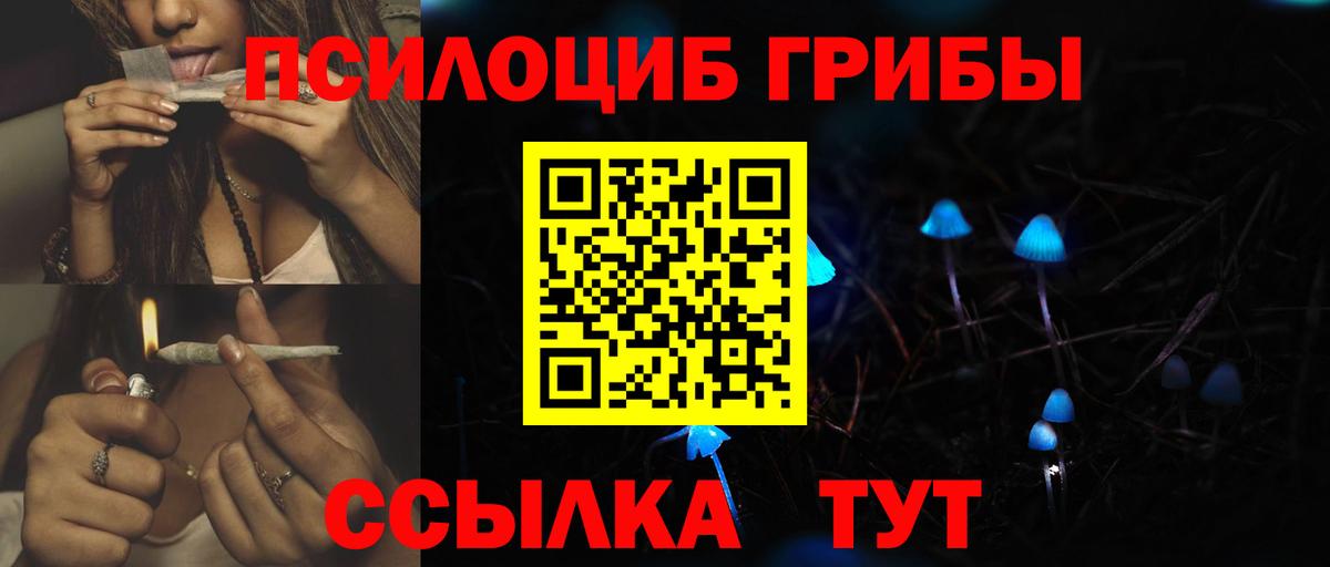 Ефремов  Галлюциногенные грибы Psilocybe  Галлюциногенные грибы MAGIC MUSHROOMS  Вход с VPN 